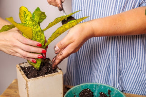 Best Nail Polish for Working Hands - ORLY