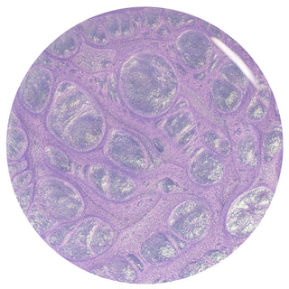 Rollin With My Homies  - Gel Nail Color