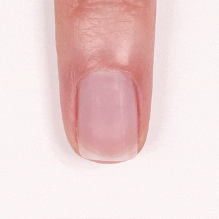 Warm and Cool Blush pH Perfectors Duo